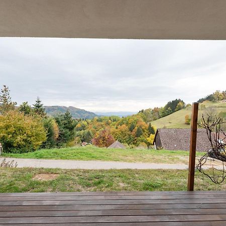 Apartment On The Edge Of The Forest Kleines Wiesental Dış mekan fotoğraf